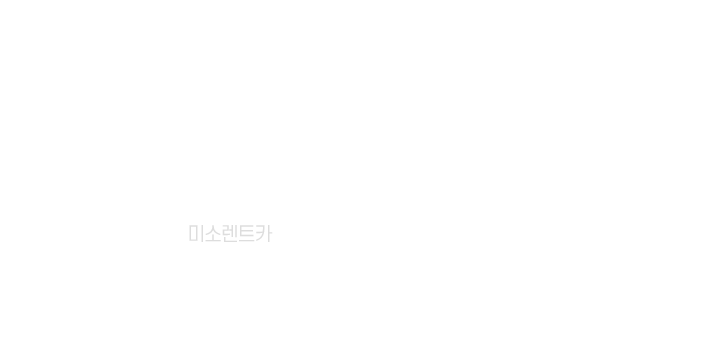 운전면허,고급/수입차량,면허증소지,차종에따른대여